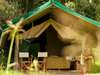 Rekero Camp - Tent 